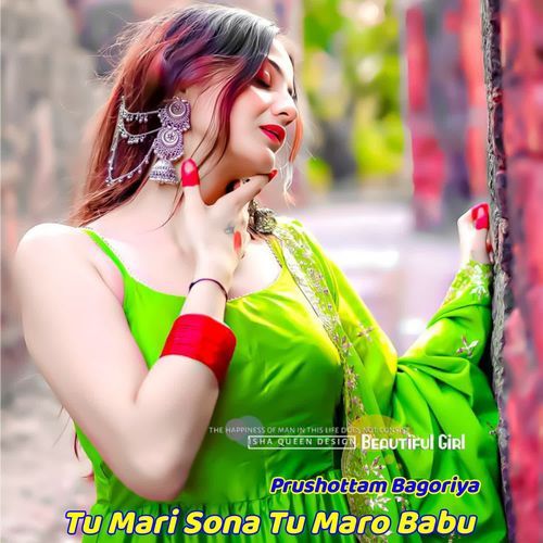 Tu Mari Sona Tu Maro Babu