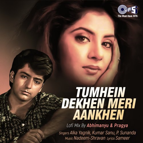 Tumhein Dekhen Meri Aankhen (Lofi Mix)_poster_image