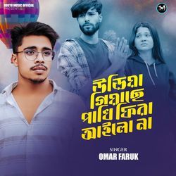 Uriya Giase Pakhi Fira Ailo Na