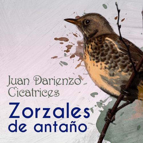 Zorzales de Antaño - Juan Darienzo - Cicatrices