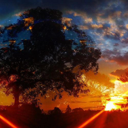 i might walk outside today (feat. Tureen) (ALTERNATE)