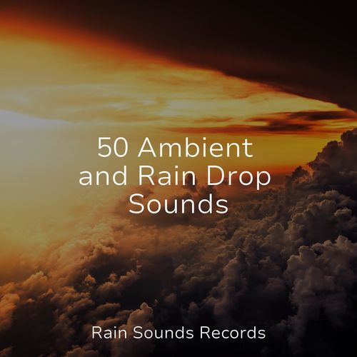 50 Ambient and Rain Drop Sounds