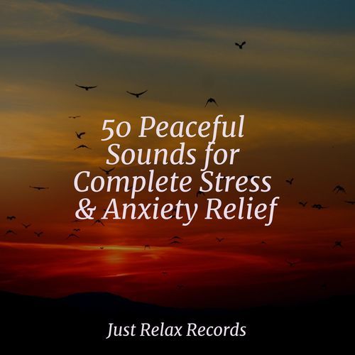 50 Peaceful Sounds for Complete Stress & Anxiety Relief