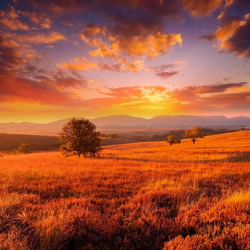 Armonía Lofi: Capas Musicales Suaves