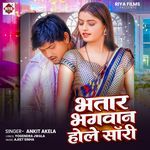 Bhatar Bhagvan Hole Sory