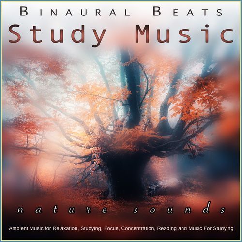 Study Alpha Waves cover art