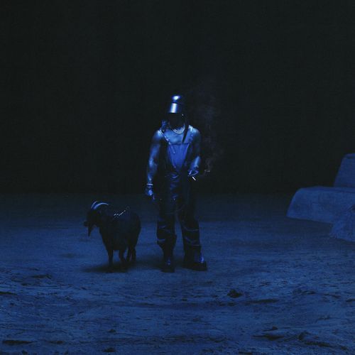 Bodies cover art