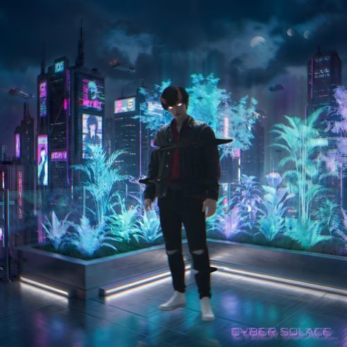 Cyber Solace
