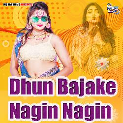 Dhun Bajake Nagin Nagin-BVg,BB13fGU