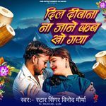 Dil Diwana Na Jane Kab Kho Gaya