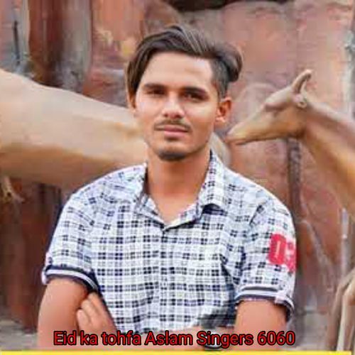 Eid ka tohfa Aslam Singer 6060 (Mewati) cover art
