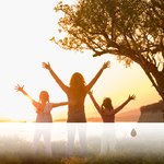 Régénération Mystique Tôt le Matin dans la Vallée