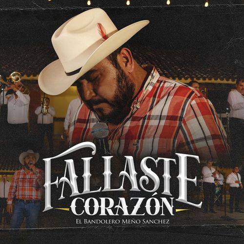 Fallaste Corazón_poster_image