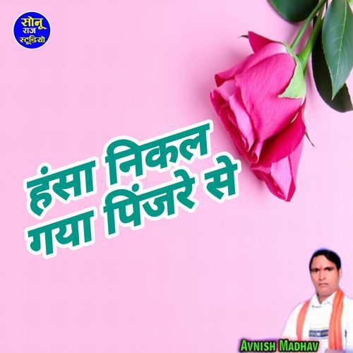 Hansa nikal gaya pinjare se