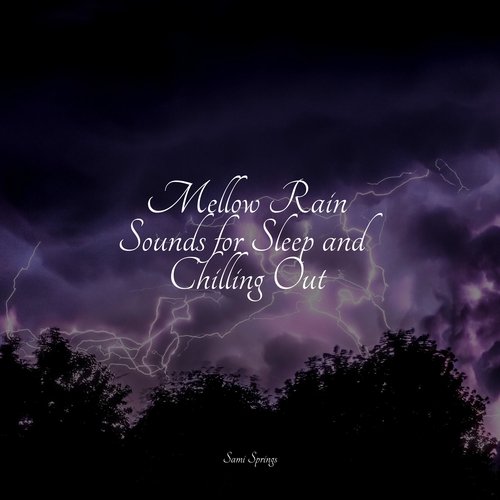 Rain, Storm and Thunder cover art