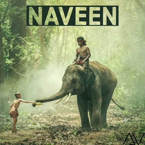 Naveen cover art