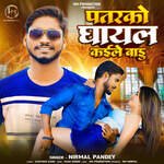 Patarko Ghayal Kaile Badu