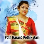 Poth Harano Pothik Aam