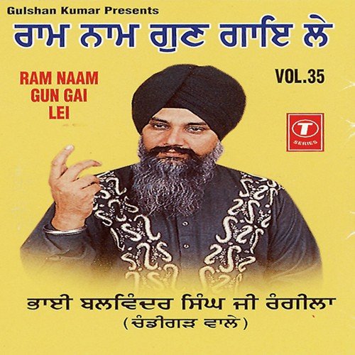 Ram Naam Gun Gai Le (Vol. 35)