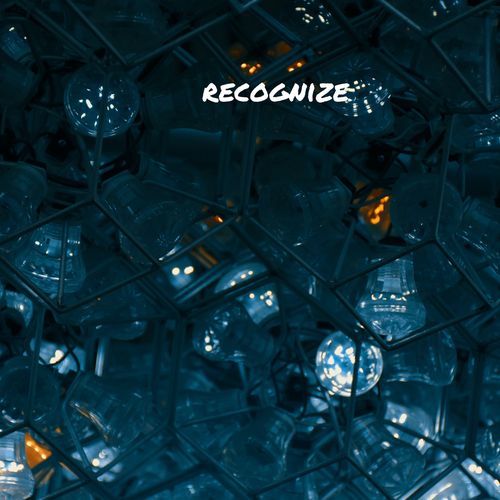 singer cover art
