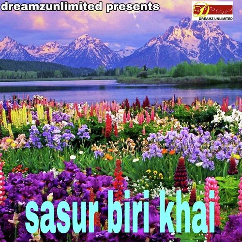Sasur Biri Khai