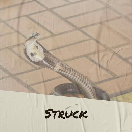 Struck cover art