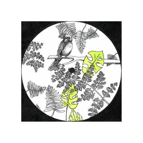 Willy cover art