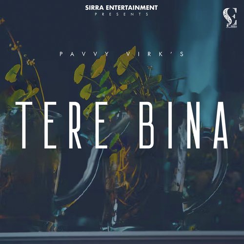 Tere Bina