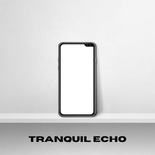 Tranquil Echo_poster_image