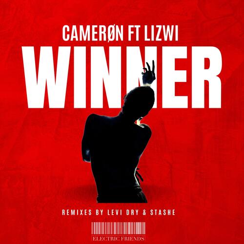 Winner (feat. Lizwi) [Levi Dry Remix]