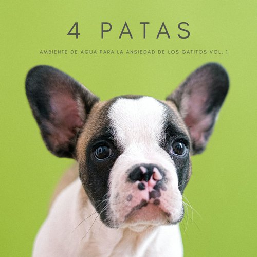 Música Para Dormir Perros Templados cover art