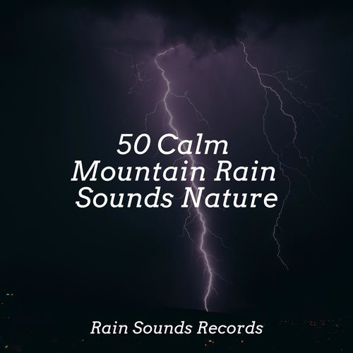 50 Calm Mountain Rain Sounds Nature