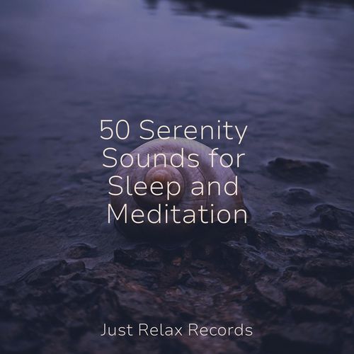 50 Serenity Sounds for Sleep and Meditation_poster_image