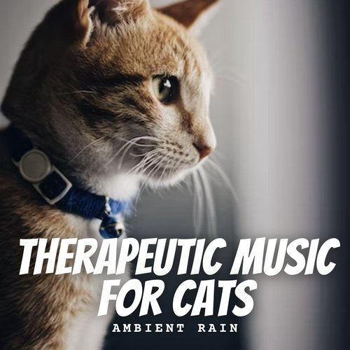 Hippie Culture cover art