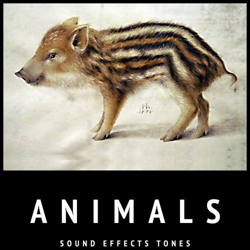Horse - Song Download from Animals Sound Effects Tones @ JioSaavn
