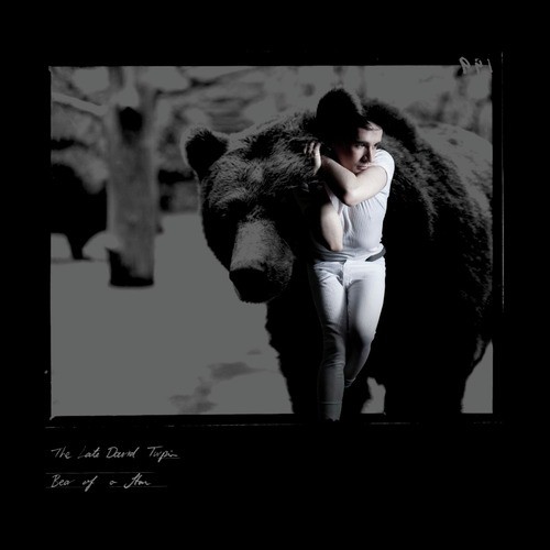Bear of a Star (Carriages Remix) cover art