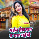 Bhail Breakup Ta Gam Naikhe