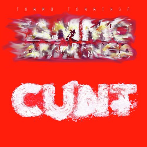 Cunt (Acoustic) cover art