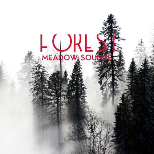 Nature Sounds Therapy cover art