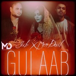 Gulaab Mendevil X Sixlr