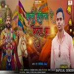 Halo Runicha Re Mela ma