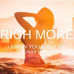 I Know You Want Me (Calle Ocho)