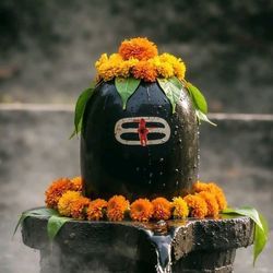 Jai Bholenath Mahadev Shankar