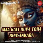 Maa Kali Rupa Tora Bhayankara