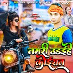 Namari udaihe Koiran