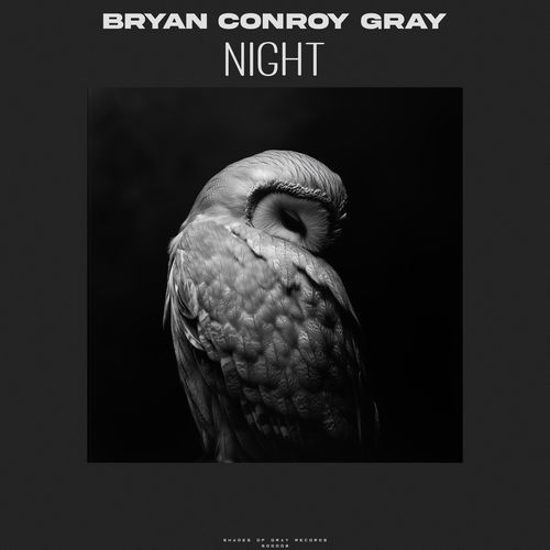 Nighthawk