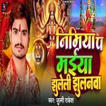 Nimiya Pa Maiya Jhuleli Jhulanwa