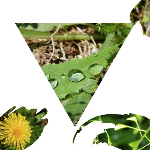Keen cover art