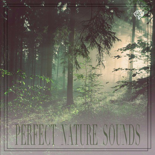 Calming River cover art