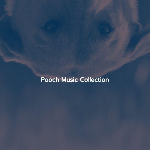 Pooch Music Collection